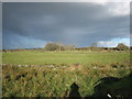 Fields enclosed by dry-stone walls.