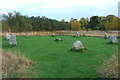 Haughton Park Stone Circle beside River Don