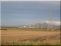 Pylons towards Alloa