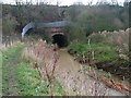 Culvert, Billingham Beck