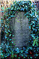 Memorial stone to "Romany"