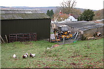 SO5303 : Denehall Farm by Philip Halling