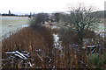 Disused railway near Keith