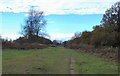 Ridge leading to W Top of Park Hill, Reigate Abbey Park, Surrey