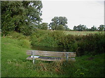 ST9457 : Seat by the stream near Bulkington by Rog Frost