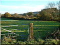 Farmland at South Storrington