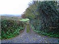 SX8373 : Footpath near Seale Hayne. by Richard Knights