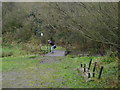 Bridge Over Hylton Dene With Geograph Cohort