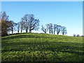 West View from Middle Biggin Farm