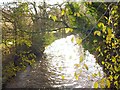 River Goyt at Woodend