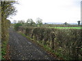 A gravel section of the Midshires way