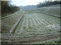 Watercress beds, Broad Chalke, Wiltshire