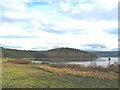 Looking towards woodland near Port Ann, Argyll.