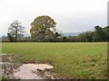 Muddy field, Burnt House.