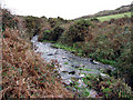 Stream at Lower Bostraze