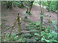 SO6118 : Stile in the woods north of Ruardean by John Thorn