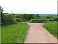 Country Road on Bulls Hill