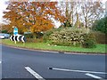 Cheals Roundabout - showing position of topiary sign.