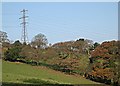 SW7946 : Electricity Pylon above the Valley by Tony Atkin
