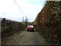 Hedge trimming