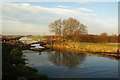 River Till from A57 road bridge