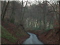 Looking back downhill towards The Crong