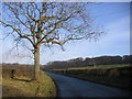 Lone tree road.