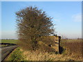 Pill box on road to North Witham