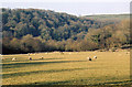 East and West Buckland: Bray valley