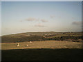 Farmland by Warcombe Lane