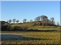 Site of the Antonine Wall.