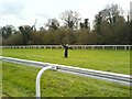 Scarecrow on Epsom Race Course