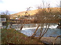 Treforest Weir and fish pass