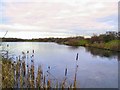 Blackleach Country Park