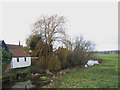 River Roding at Abridge