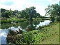 The Great Ouse near Harold