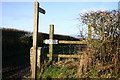 Footpath to Plasketlands Farm