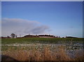 Looking up Kirkton Hill