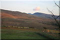 Evening sun, lower slopes of Lank Rigg