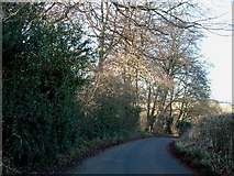 SU8299 : Smalldean lane at the top of Bradenham Wood by Rob Farrow