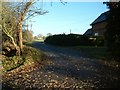 Knightsbridge Lane, the road to Knightxbridge Farm