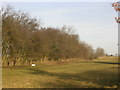 Old railway cutting, near Eppleby, near Richmond, North Yorkshire