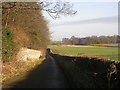 Deer Park wall, Forcett Park, near Richmond, North Yorkshire