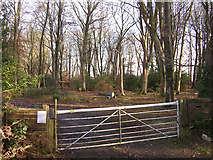 SU2809 : Entrance to the SADAC car park, Acres Down, New Forest by Jim Champion