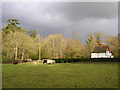 Bolderwood cottage, New Forest