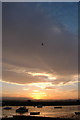 Sunset over the Exe Estuary from below Topsham Church