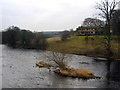 River Wharfe, Wetherby