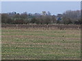 Sheephouse Barn Farm - Winter Fields