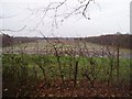 Fields in Garson Farm