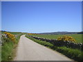 Country Lane near Peterculter